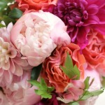 Amy Havins shares an image of her favorite flower, pink peonies.
