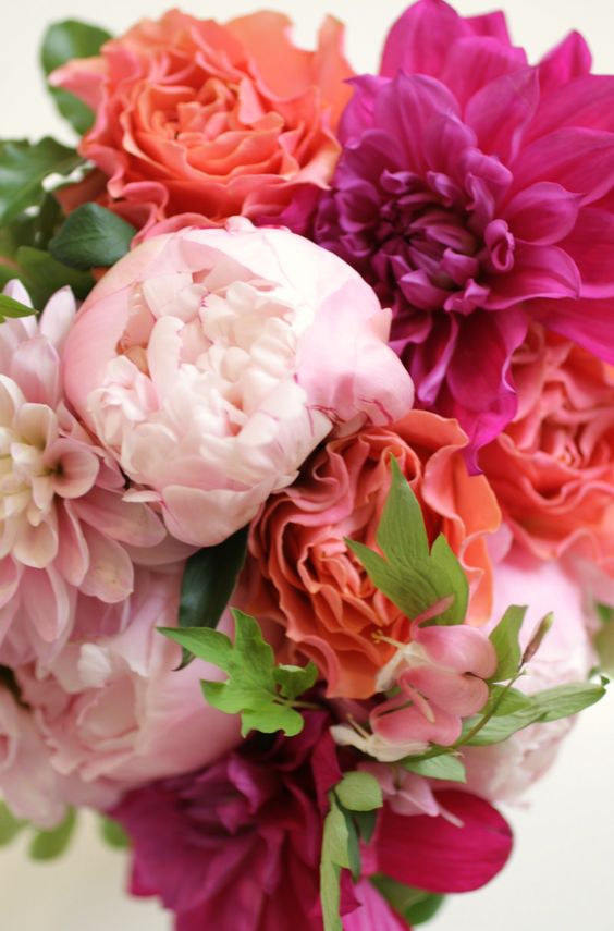 Amy Havins shares an image of her favorite flower, pink peonies.